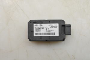 Reifendruckkontrollmodul - 958002W100