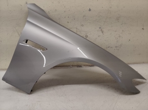 Front fender - 51117207932