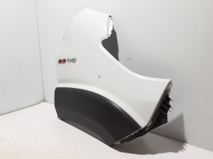 FIAT Ducato (290) (2014–2026) Front fender 1697531980 - 6