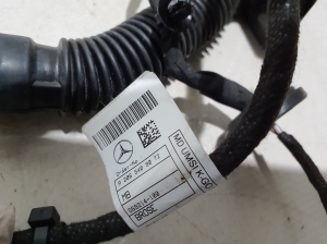 Mercedes Benz C-Class 206 (2021–2026) Kabelbaum A2065409072 - 3