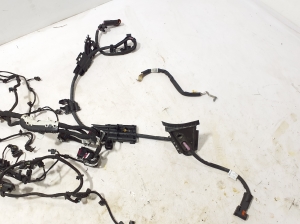 Mercedes Benz C-Class 206 (2021–2026) Motorkabelbaum A2561503402 - 3