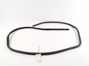 NISSAN Leaf II (2017–2026) Front door rubber seal 76921-3NA1B - 2