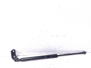 Trunk lid strut - 6896005091
