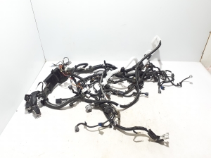 Engine wiring harness - 240116RN2A
