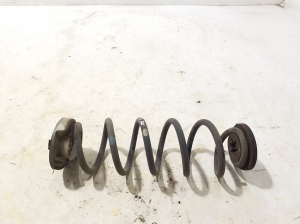   Rear spring  - 550206RR3D 