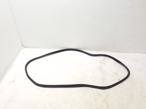   Rear side door seal on the door  - 769246RA0A 