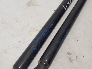 NISSAN X-Trail T33 (2021–2026) Trunk lid strut 904516RR0B - 2