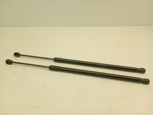   Motorhaubenstütze/Gasdruckfeder  - A2079800764 