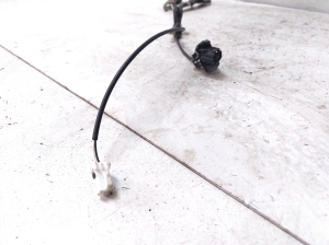 TOYOTA Avensis T27 (2008–2019) Rear abs sensor cable - 2