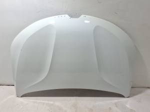 Hood - 656160156R