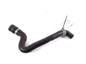   Hose  -  