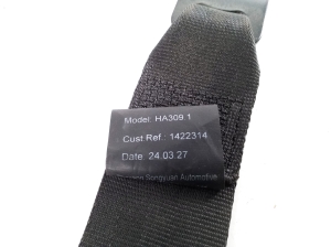 Ligier JS 60 I (2020–2026) Front seat belt 1422314 - 2