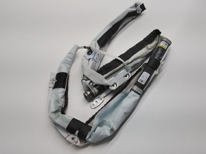 Ford Mondeo V (2014–2018) Dachairbag DS73N042D95AJ - 2