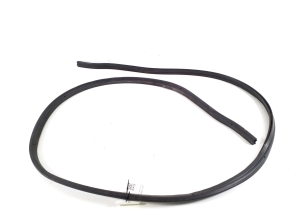 Ligier JS 60 I (2020–2026) Trunk seal (on body) - 2