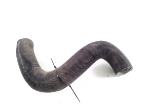 Ligier JS 60 I (2020–2026) Hose - 2