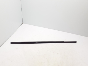   Rear side door outer window molding  - 7404032 