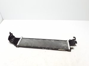   Other radiator  - 8596124 