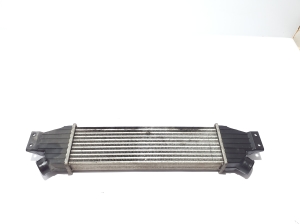 SsangYong Rodius I (2004–2013) Vahejahuti radiaator 2371121051 - 2