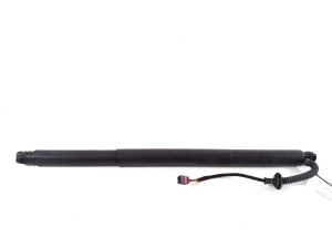 Trunk lid strut - 81831BE100