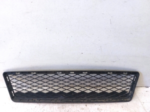 Front bumper lower grille - 51117154714