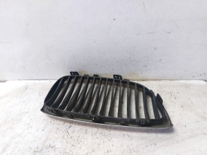 Kühlergrill - 1020250707