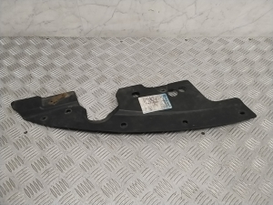 Trim under the hood - 625801AA0A
