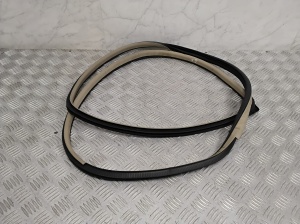   Rear side door seal on the door  -  