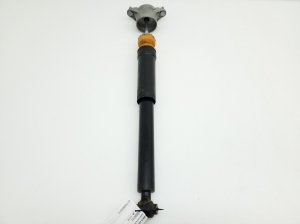   Rear shock absorber 