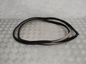   Rear side door seal on the door  -  