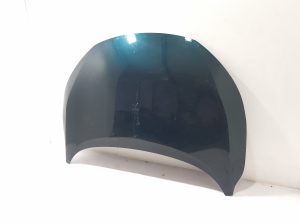 Motorhaube und ihre Teile - F51006UAMA