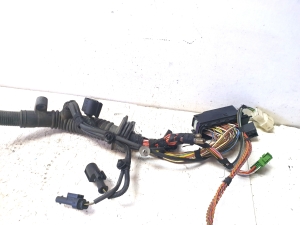 BMW X1 E84 (2009–2015) Engine wiring harness 12517802194 - 6