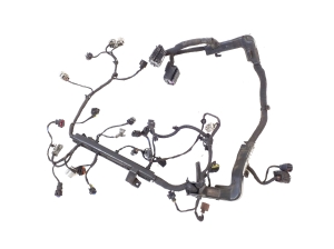   Engine wiring harness  -  