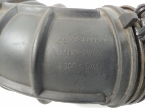 Hyundai Santa Fe (2012–2018) Luftansaugschlauch 281302W300 - 3