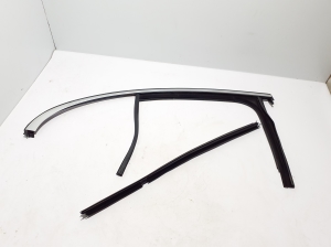   Rear side door seal on the door  - A2147350800 