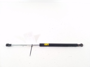 LEXUS CT 200h ZWA10 (2010–2017) Trunk lid strut 6895076041 - 2