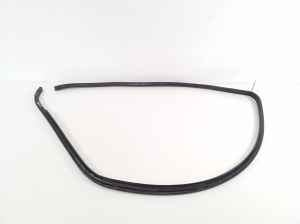 LEXUS CT 200h ZWA10 (2010–2017) Front door rubber seal 6231276010 - 2