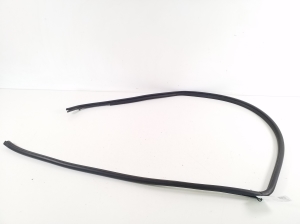   Front door rubber seal  - 6231276010 