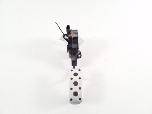   Accelerator pedal  - 7811076110 