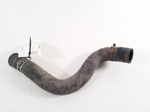 Radiator hose - 1657137140
