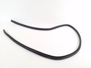   Rear side door seal on the door  - 6233176010 