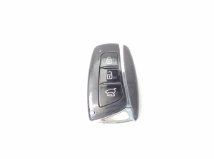   Ignition key  - 954402W600 