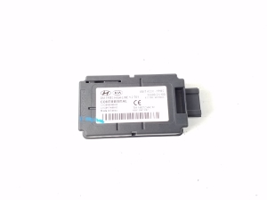   Reifendruckkontrollmodul  - 958002W100 