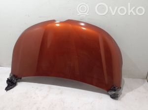 RENAULT Kangoo III (2021–2026) Motorhaube 651007840R - 3