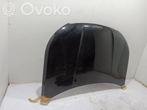 Motorhaube - 9831044380