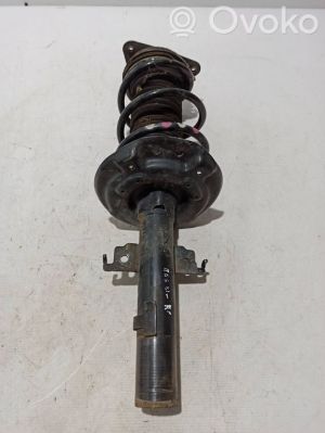 Stoßdämpfer vorne - 543025368R