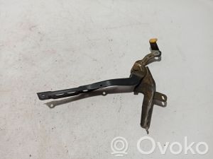 Peugeot 2008 P24 (2019–2026) Hood hinge 9820730880 - 2