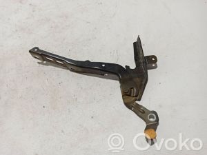 Peugeot 2008 P24 (2019–2026) Hood hinge 9820730680 - 2