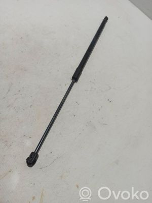Dacia Duster P1310 (2024–2026) Trunk lid strut 904521998R - 3