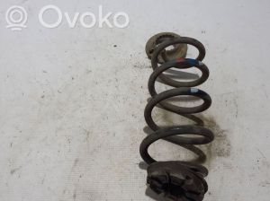 RENAULT Arkana (2019–2026) Rear spring 550191828R - 3