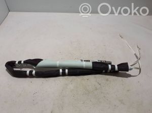Dachairbag - 985P17222R